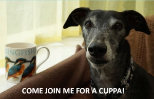 Coffee Morning - Friday 19th June - in support of Fen Bank Greyhound Sanctuary